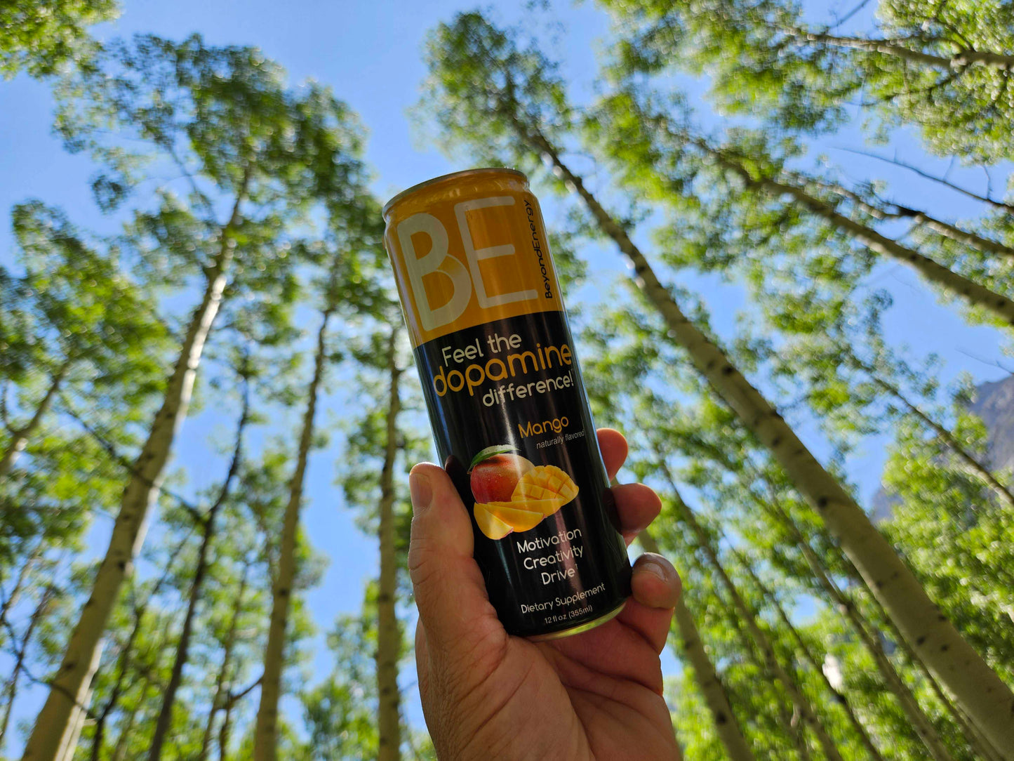 Mango Beyond Energy