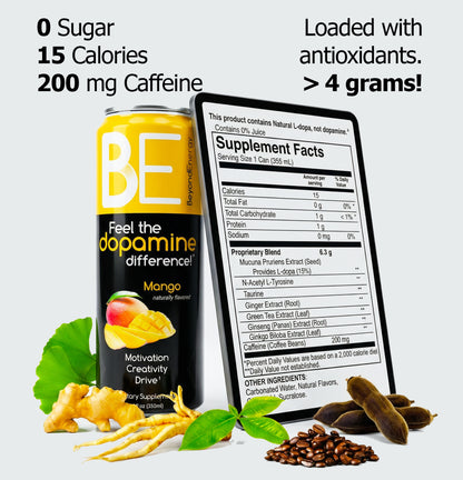 Mango Beyond Energy