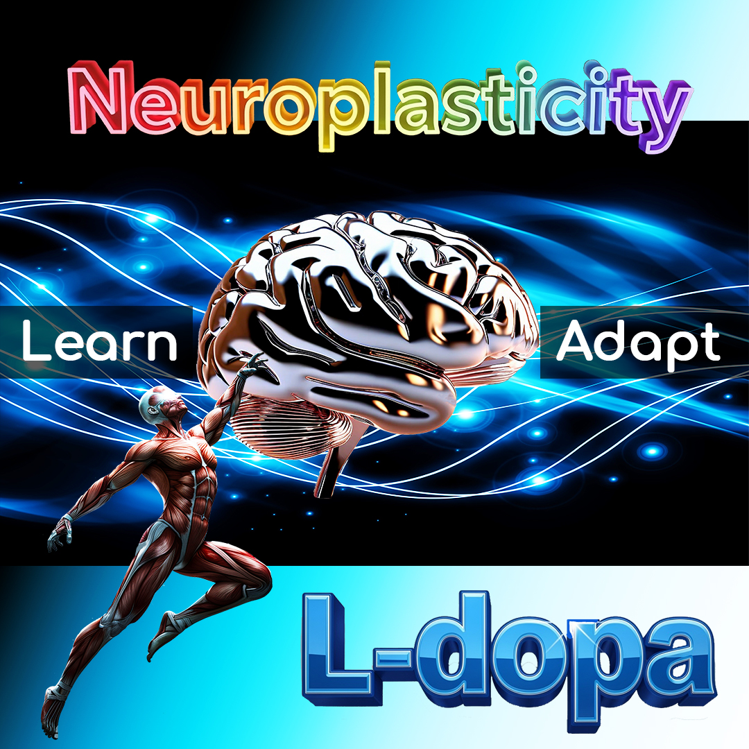 Neuroplasticity